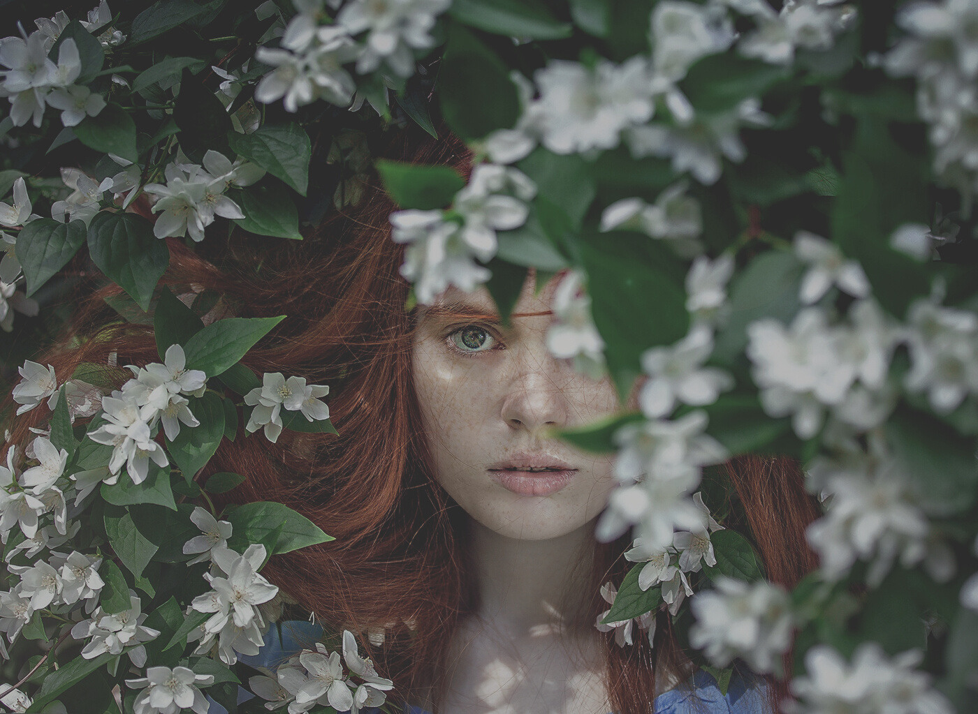Redhead Woman Hiding in the Flowers